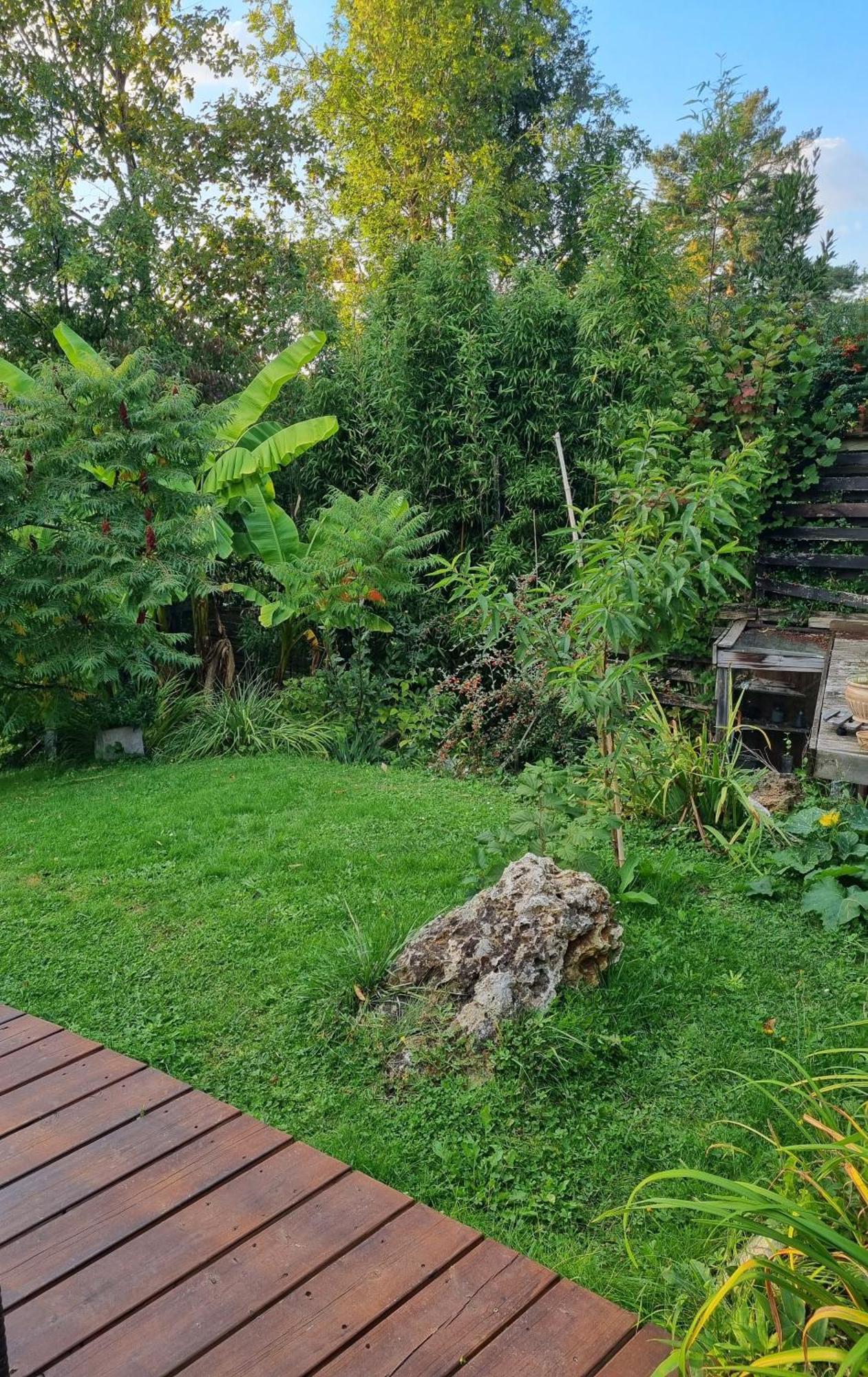 Belle Maison D'Art Verdoyante & Jardin Сен-Ремі-ле-Шеврез Екстер'єр фото
